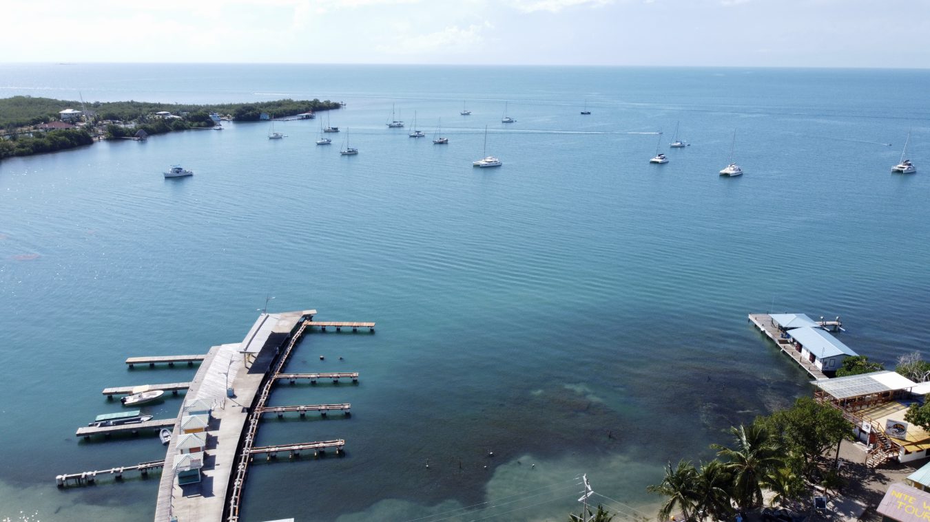 Placencia Scuba Diving Accommodation: Stay Near the Reef 1 Placencia, Belize — aerial / beach view used in April travel guide